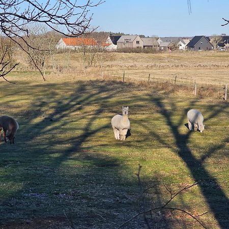 Attefallshus Naera Havet Norranaes Varberg Exteriör bild