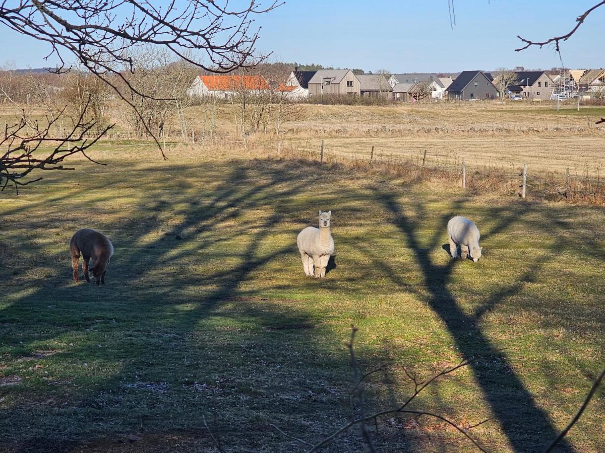 Attefallshus Naera Havet Norranaes Varberg Exteriör bild